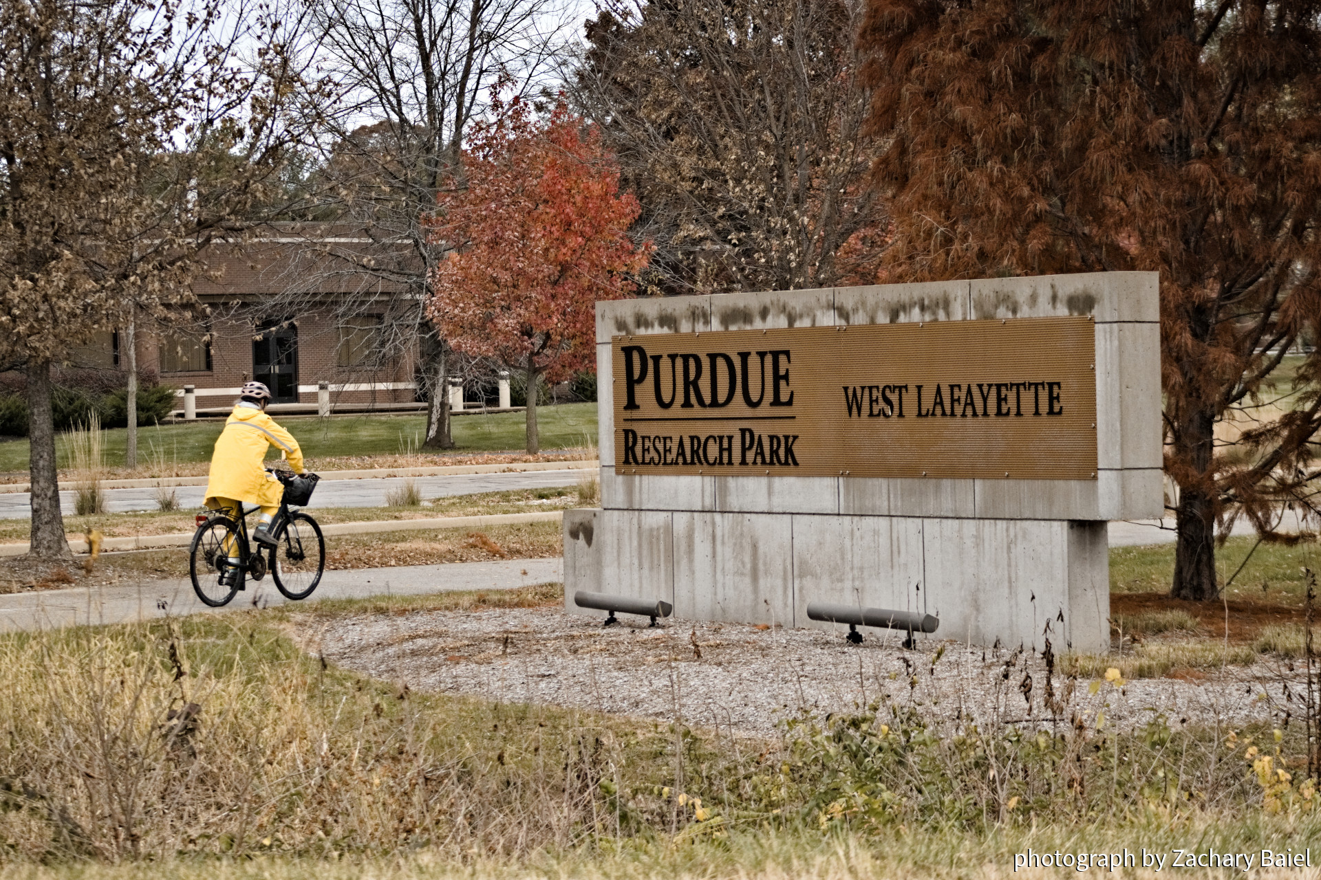 A cyclist riding in a light rain, entering the Purdue Research Park along Sagamore Parkway | West Lafayette, Indiana | November 2022