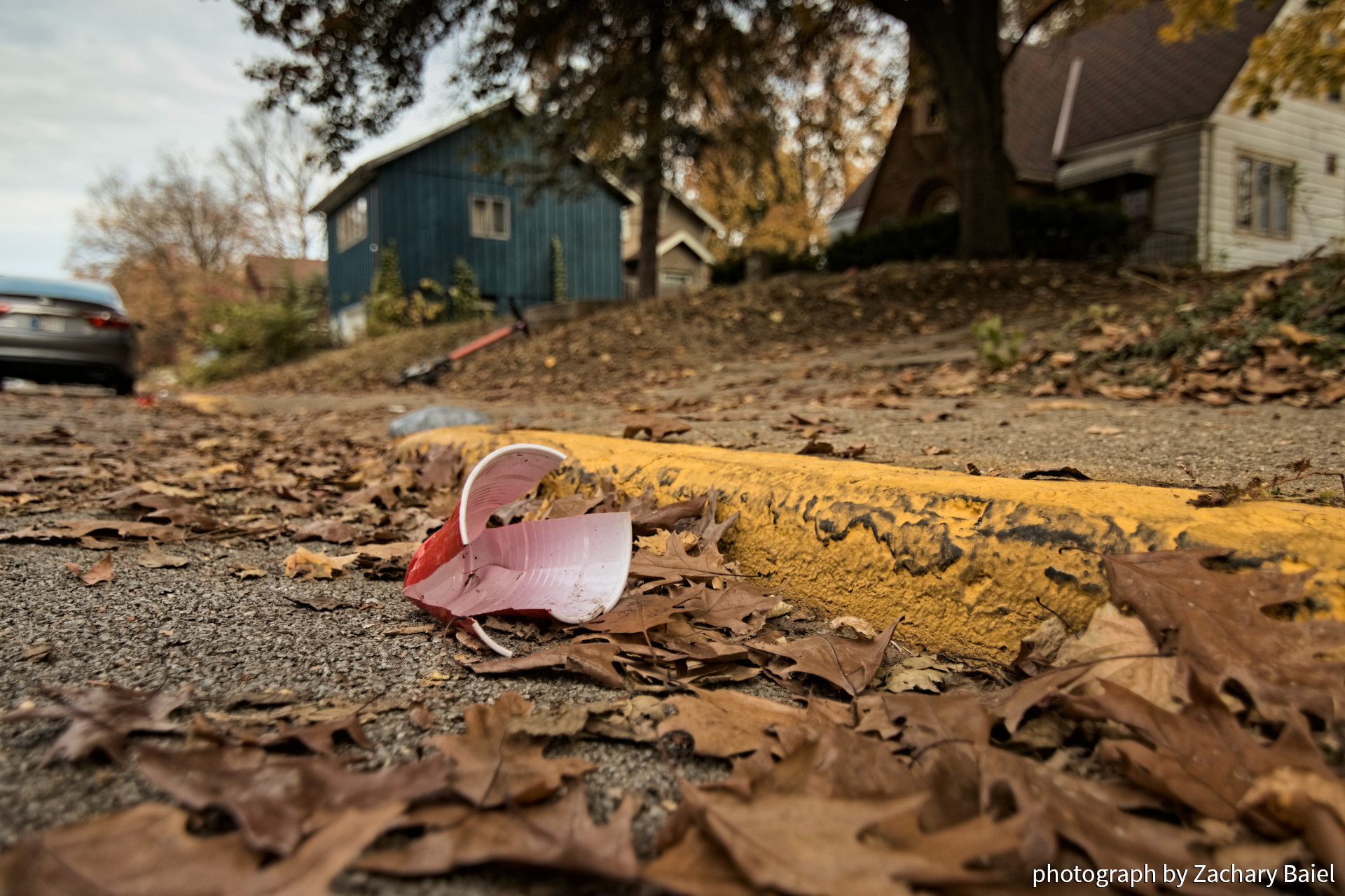 Party detritus alongside the road, across from a park | West Lafayette, Indiana | November 2022