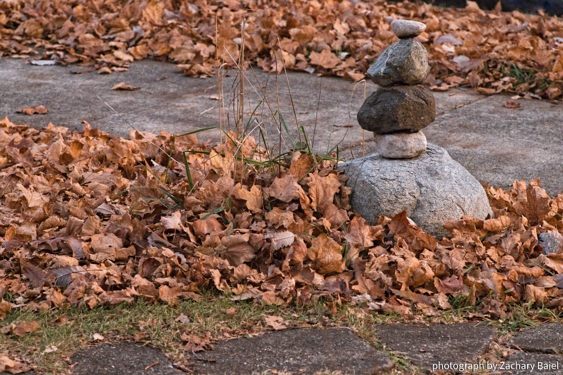 Balancing rocks in autumn | November 2022