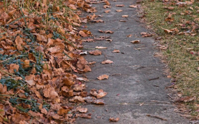 A Clear and Crunchy Path