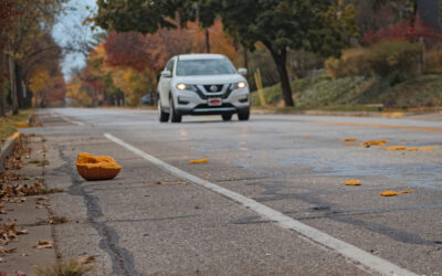 Our Pumpkin is not Your Pumpkin