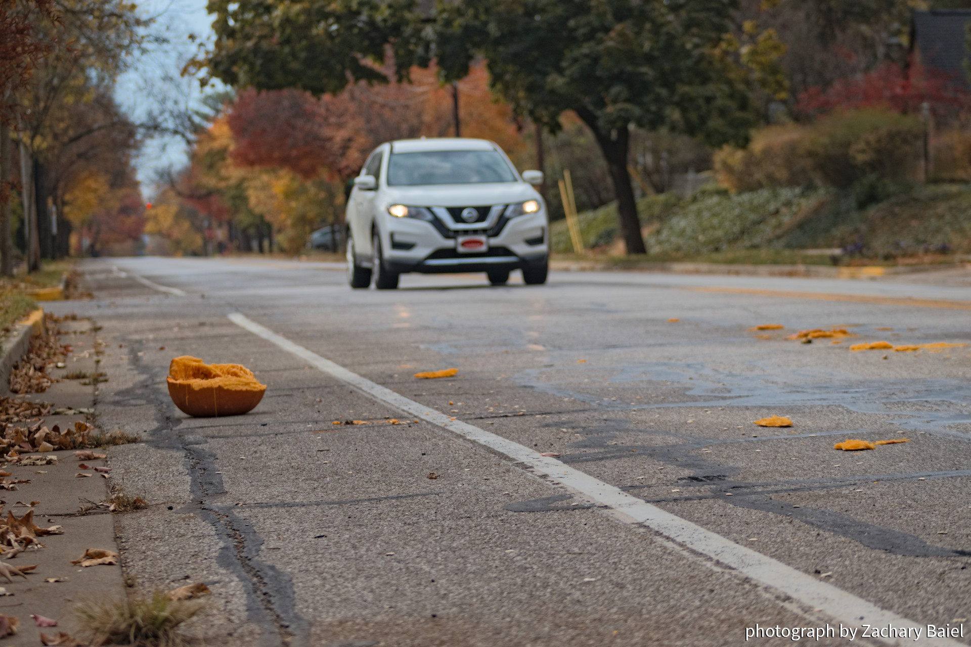 A smashed pumpkin the day after Halloween | November 2022