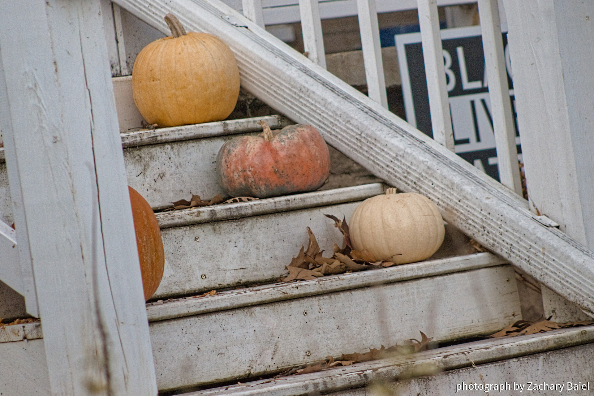 Pumpkins holding strong on dirty steps | November 2022